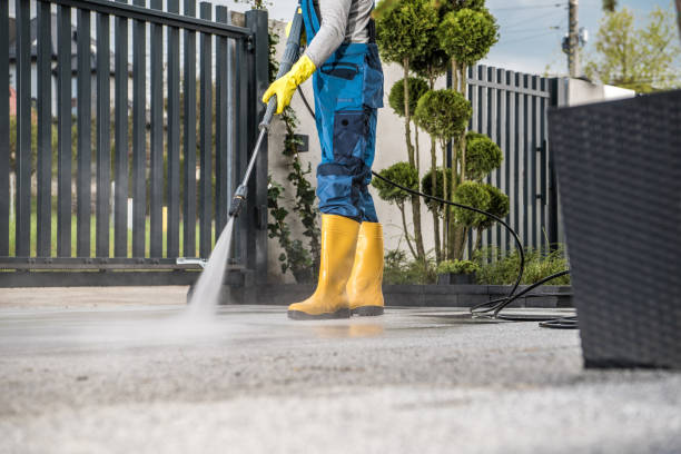 Best Sidewalk Pressure Washing  in Argyle, TX