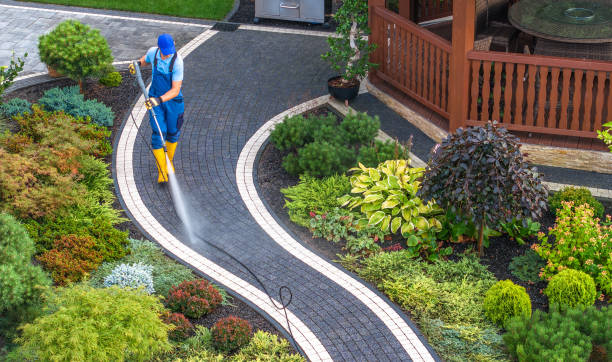 Best Concrete Pressure Washing  in Argyle, TX